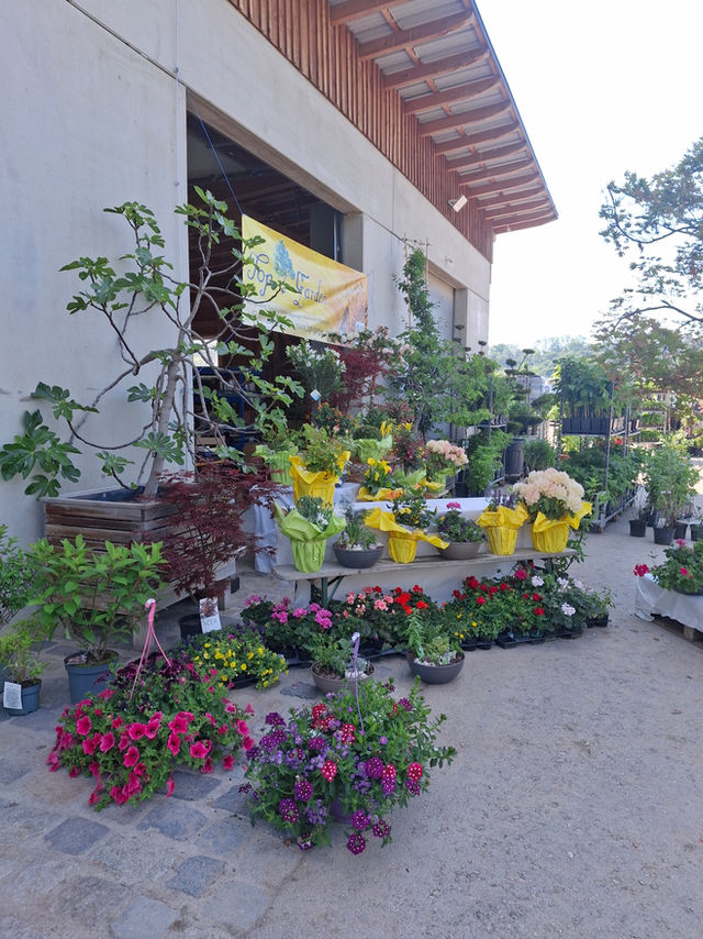 Pflanzerlmarkt