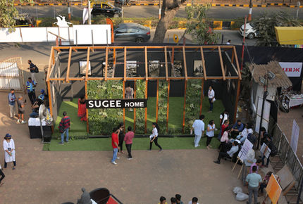 Art Fest, February 2022