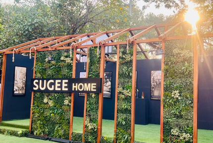 Art Fest, February 2022