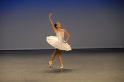 DSC_3692.jpeg