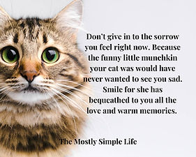 pet-loss-quotes-11.jpg