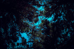 Hopes of lights & colours