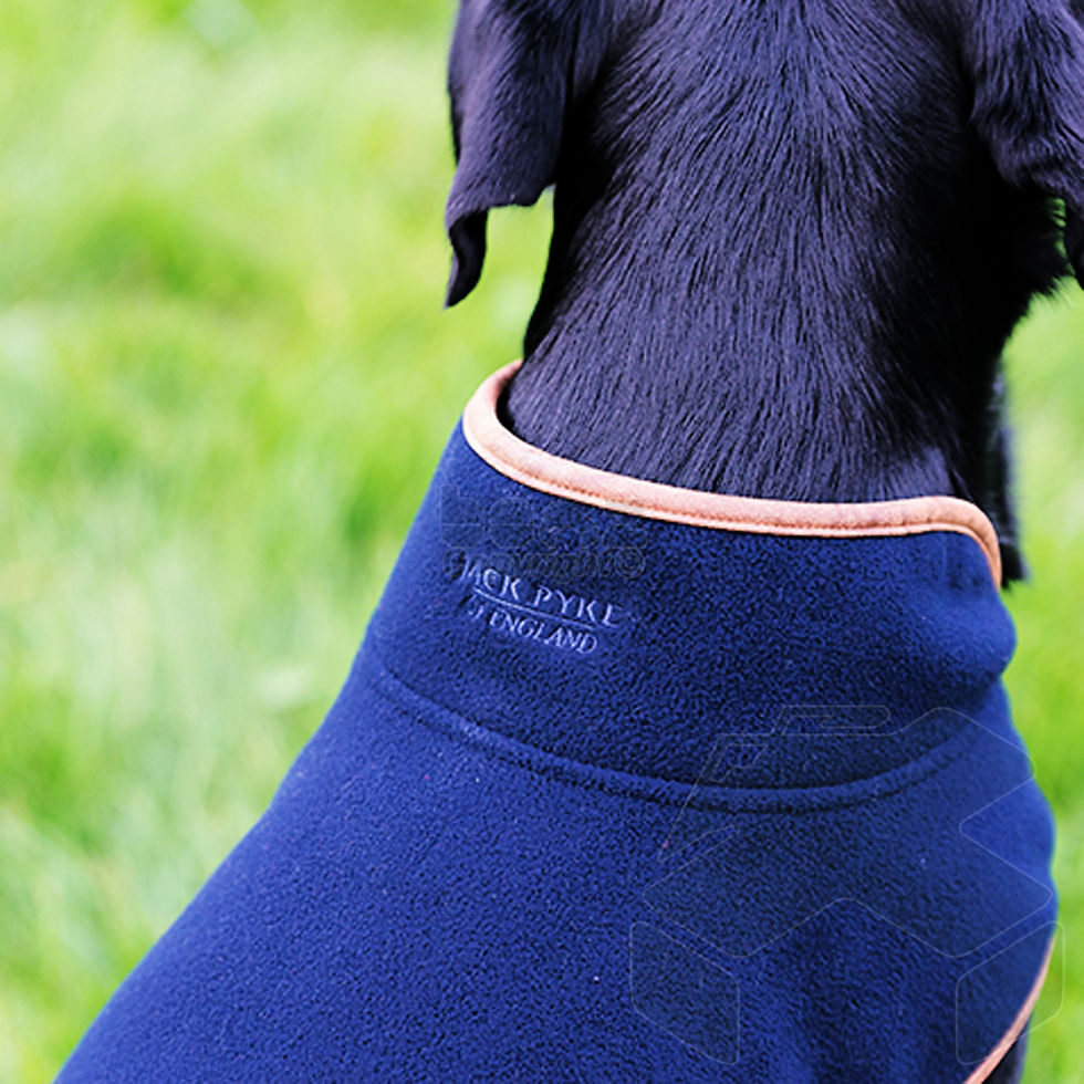 Thumbnail: Jack Pyke Fleece Dog Coat - Light Olive