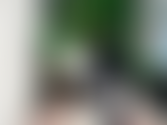 The DAHOME Brand: Bridging Communities Through Creativity and Optimism