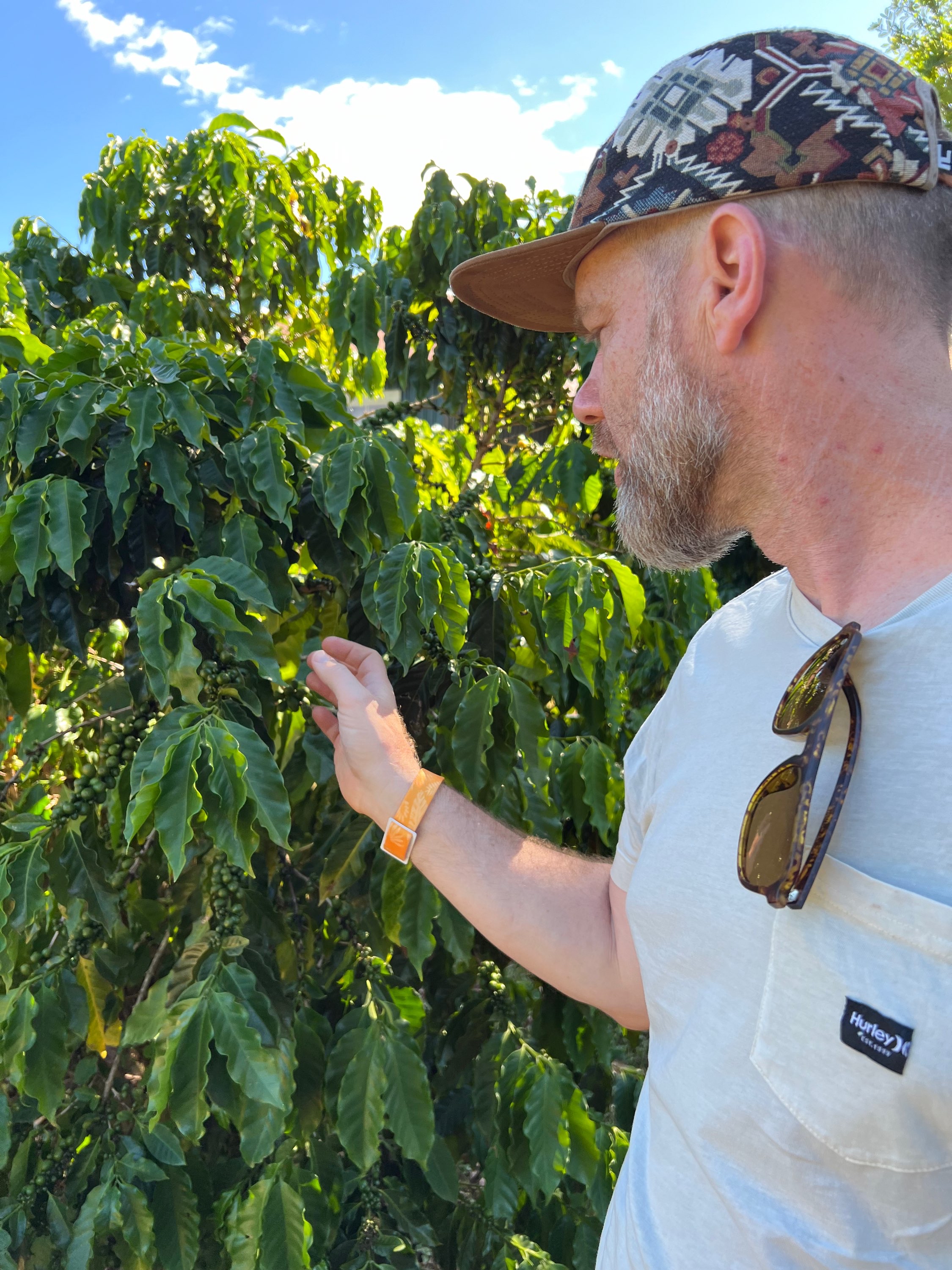 Writer: Jason Kanapkey