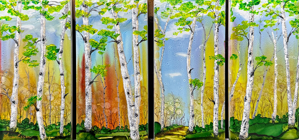 “Morning Whispers of the Birch Tree”