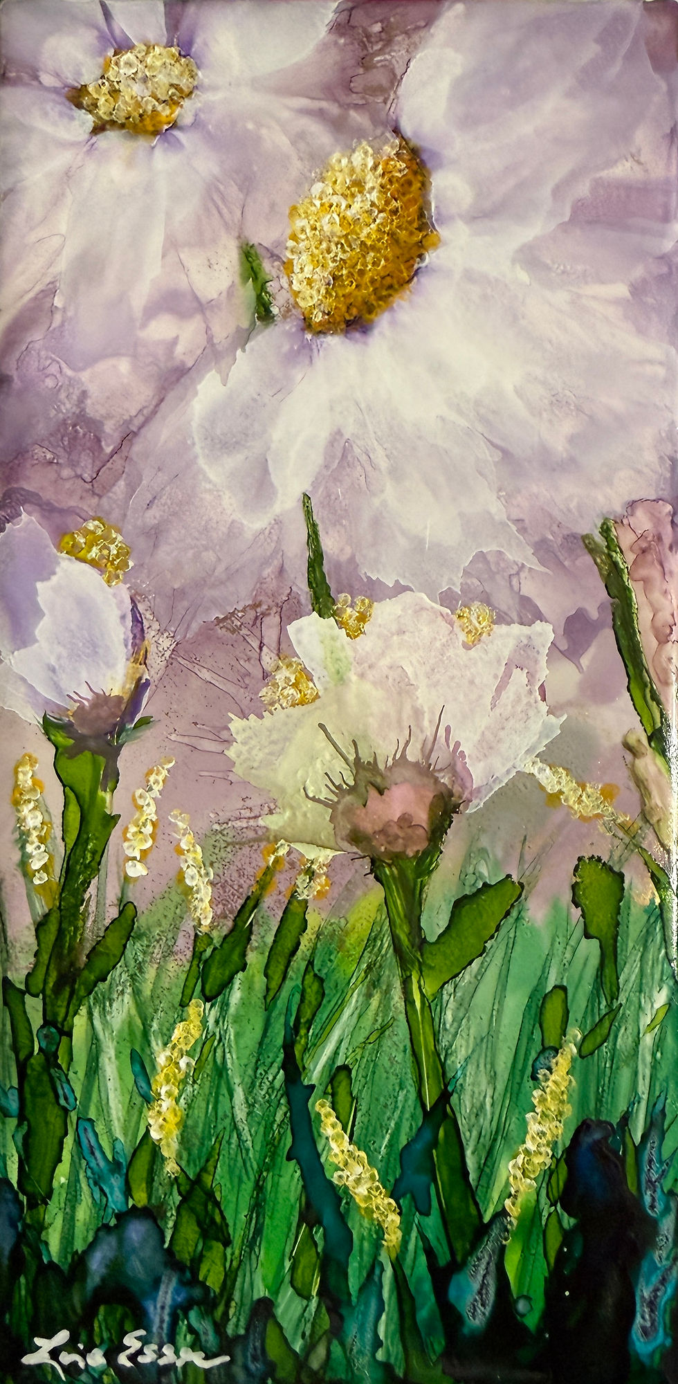 “Petals of Quiet Light”