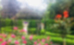 IMG_7696_edited.jpg
