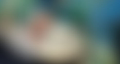 Antinutrientes, o porquê você deveria se preocupar com eles