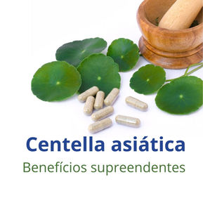 Centella Asiática (Gotu kola), benefícios da erva da longevidade