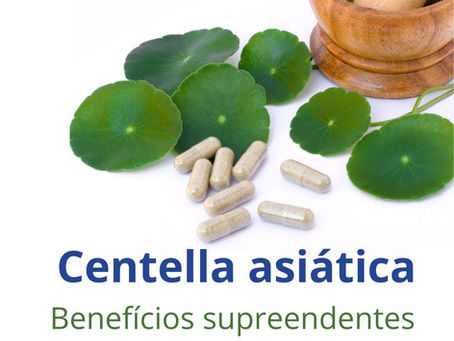 Centella Asiática (Gotu kola), benefícios da erva da longevidade
