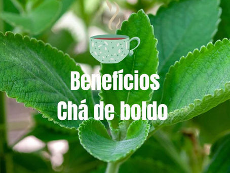 Para que serve o chá de boldo? Benefícios e cuidados