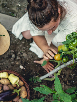 Terapia com jardinagem: como o contato com plantas ajuda a reduzir a ansiedade