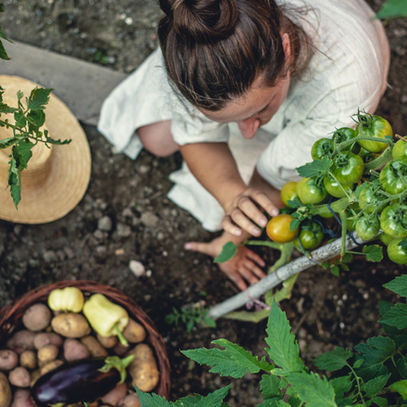 Terapia com jardinagem: como o contato com plantas ajuda a reduzir a ansiedade