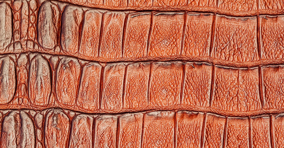 Barreira Cutânea: o que é e por que ela define a saúde da sua pele