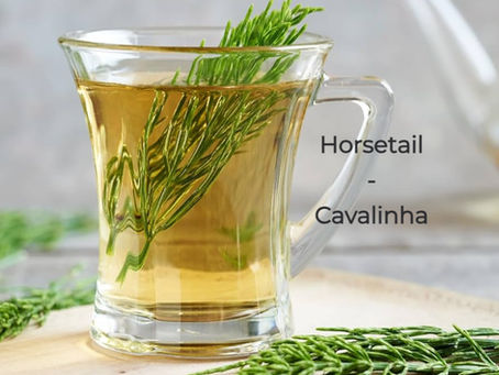 Para que serve chá de cavalinha /saúde e queda de cabelo