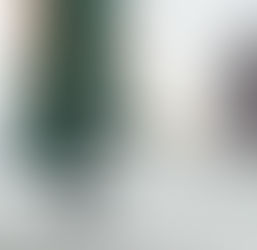 Como se livrar dos ácaros naturalmente do colchão e outros lugares