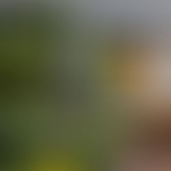 7 ideias de jardim para pequenos espaços