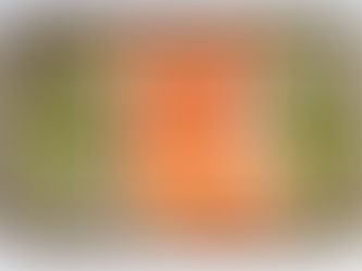 Dieta Dukan: como funciona, fases e o que considerar antes de seguir