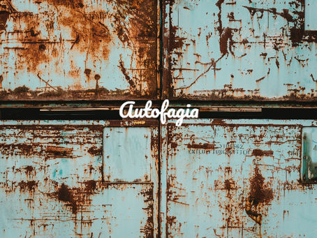 Jejum, autofagia e longevidade: o que a ciência realmente sabe