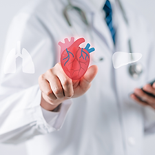 AdobeStock_549787358 LR1.png