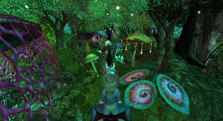 Xanadu Forest