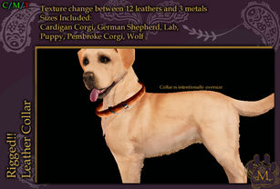 Multifarious - Leather Dog Collars