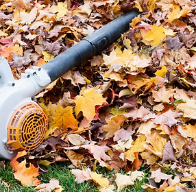 Blower Leaves Picture.png