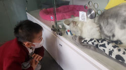 b6ba728f-a769-4e3b-afa6-c1de51b47c53