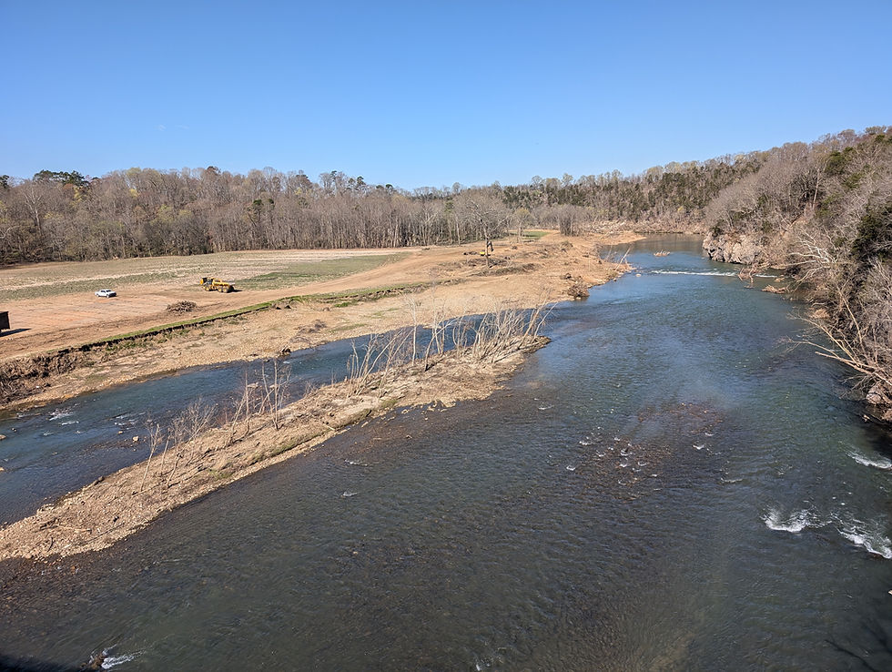 Nolichucky Tree Planting (Greene County)