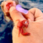 お口から出てきたものは