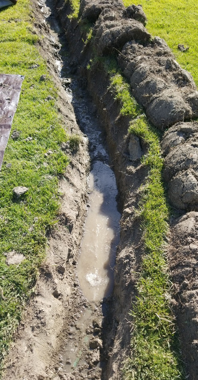 Main line trenched.jpeg