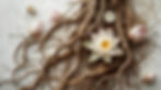 healing calm tones of lotus flower and healing roots.jpg