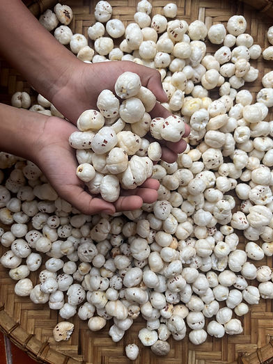 makhana+1.jpg