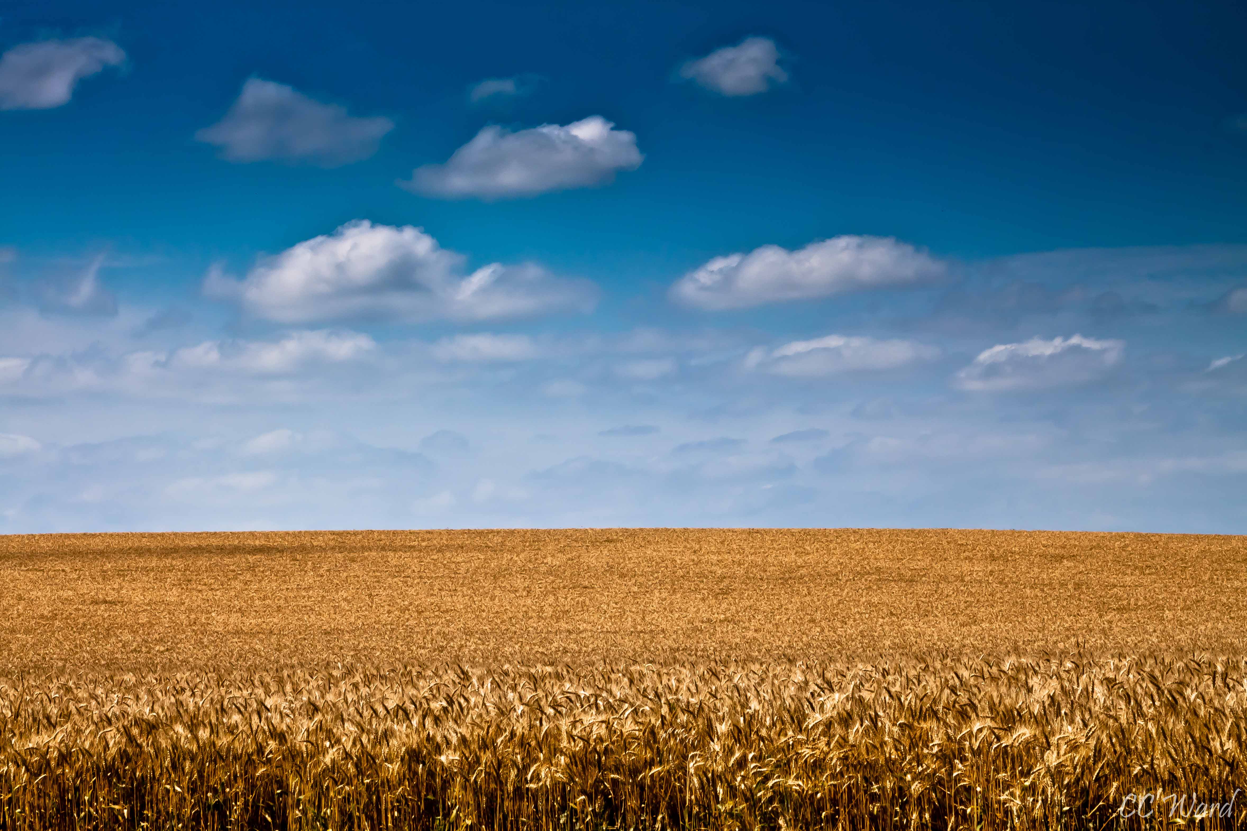 Town of Seiling, OK Utilities, Services and More Seiling, OK