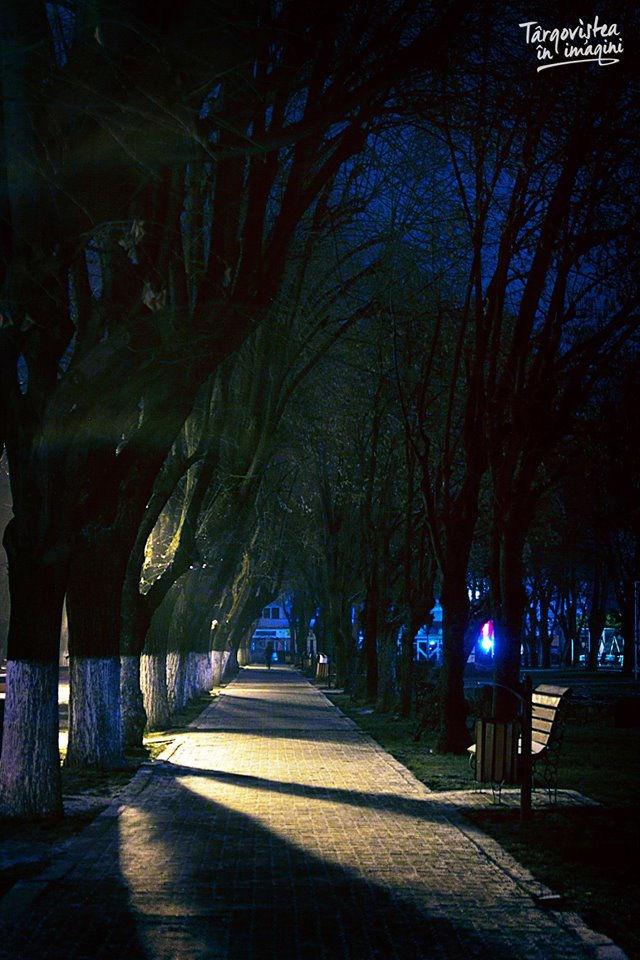 Alee din Parcul Mitropoliei