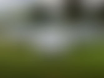 Motorv8 Fleet of Cars