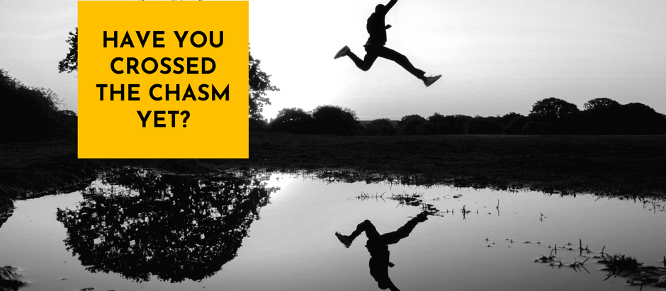 Have you crossed the "CHASM" yet?