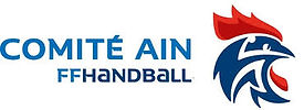 logo comité ain handball.jpeg