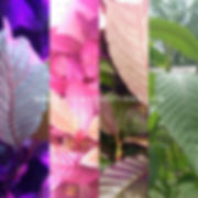 IMG_20190924_003713-01.jpeg