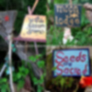 IMG_20190923_011918-01.jpeg