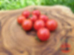 Rote runde Cherrytomate auf einem Holzbrett - Tomate Balconi Red