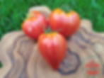 Rot-gelblich gestreifte herzförmige Tomate auf einem Holzbrett - Tomate Dwarf Stony Brook Heart