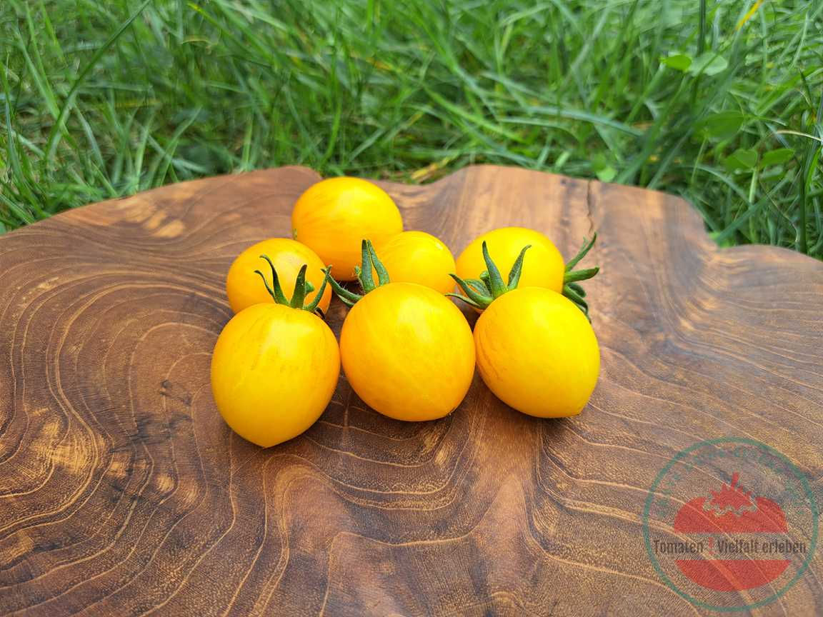 Gelb-leicht lila gestreifte Tomaten auf einem Holzbrett im Gras. Tomatensorte Dream Weaver
