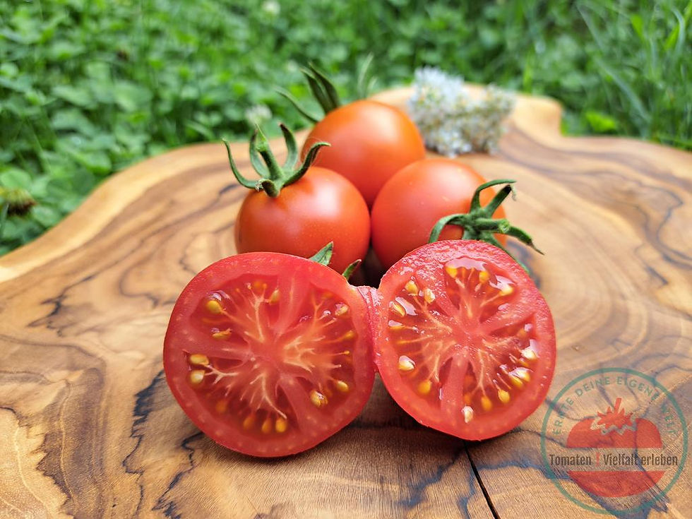 Miniaturbild: Aufgeschnittene rote runde Salattomate mit einer weißen Blume im Hintergrund auf einem Holzbrett - Tomate Haubners Vollendung