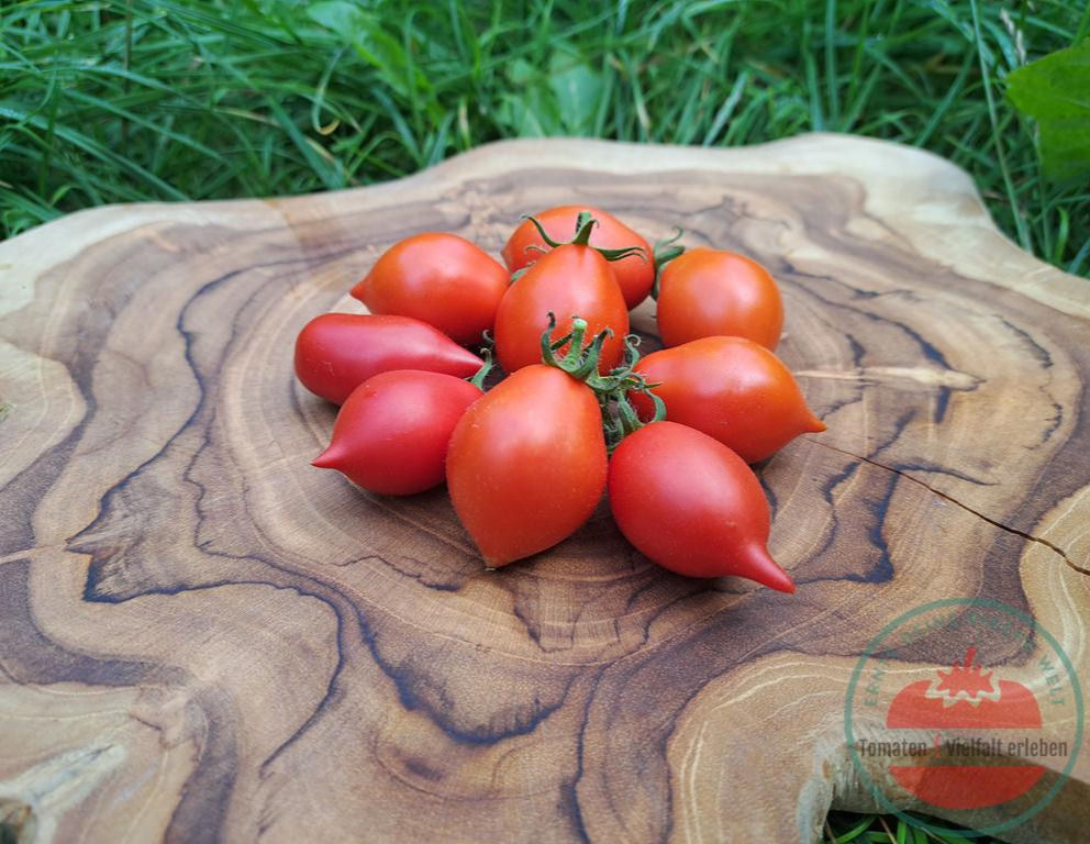 Rote birnenförmige Tomaten mit deutlicher Spitze auf einem Holzbrett - Tomate Schmidt Orla