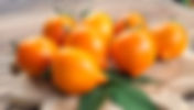 Tomatensorte Sibirisches gelbes Herz | Tomaten! Vielfalt erleben