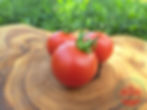 Rote runde Tomaten auf einem Holzbrett - Tomate Balkonzauber