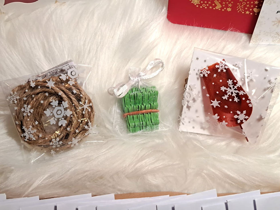 Thumbnail: Tomato seed advent calendar