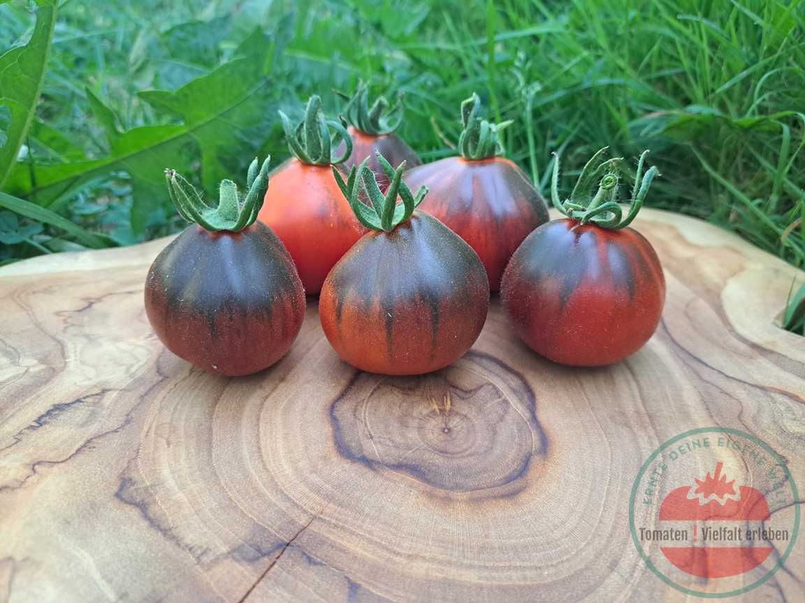 Rötlich bis schwarze Tomaten auf einem Holzbrett im Gras. Tomatensorte Blue Pear.